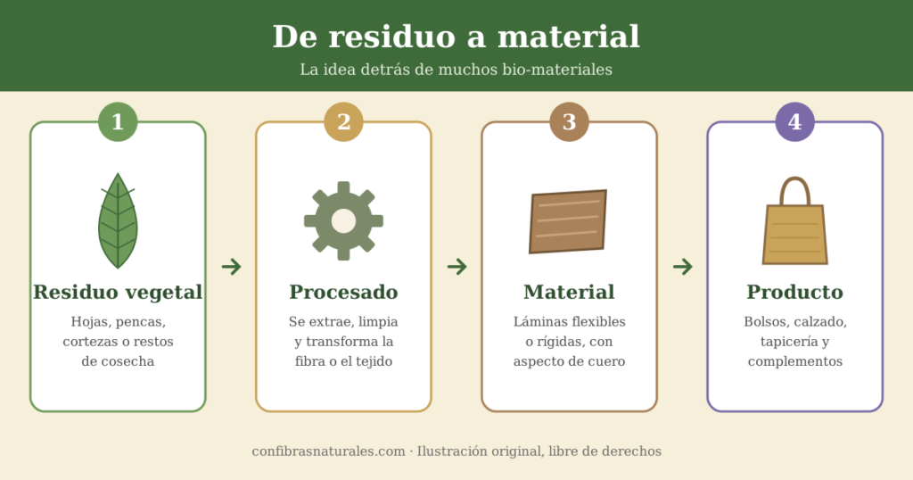 Infografía: residuo vegetal, procesado, material y producto final