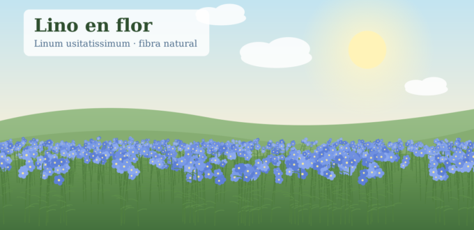 Flores de Lino