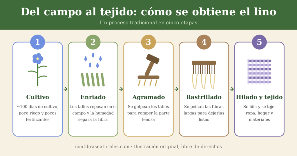 Lino, del campo al tejido